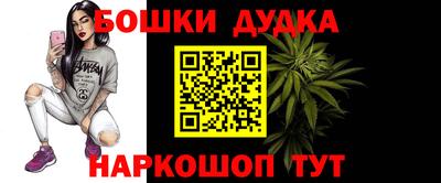 гашик Новокубанск