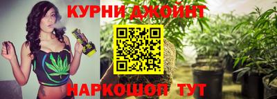 гашик Новокубанск