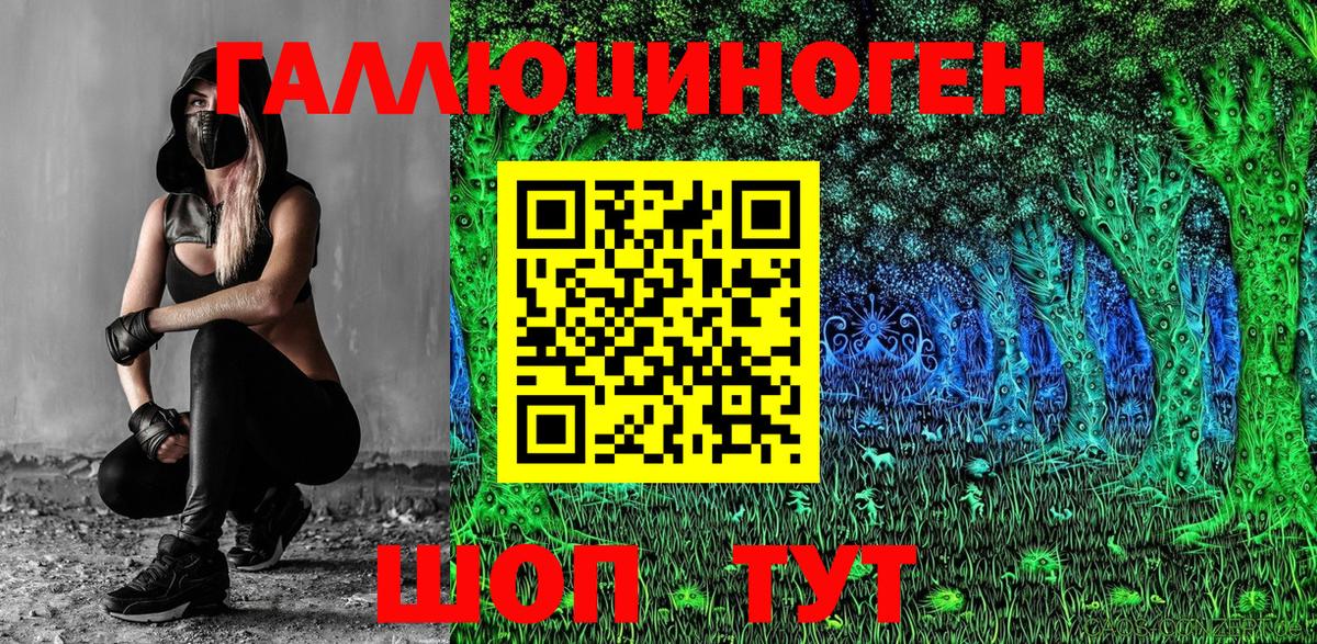 Тайшет  Галлюциногенные грибы Cubensis  Вход с VPN 