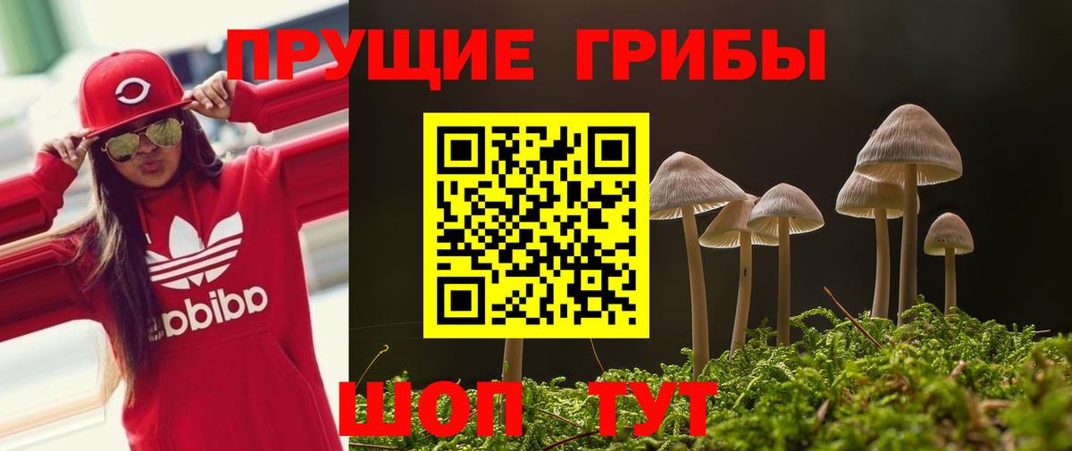 Псилоцибиновые грибы прущие грибы Тайшет